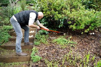 Raking up dead leaves to avoid overwintering pests. Photo: Martha Proctor