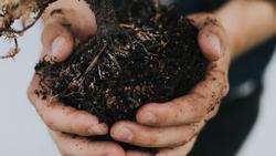 Myth1_Soil