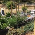 February 2024: Rotating Crops