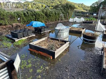 The flooded garden needed time to dry out after the February rains.
