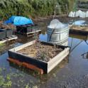 March 2024: Making Soil for Seeds