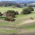 How to care for soil