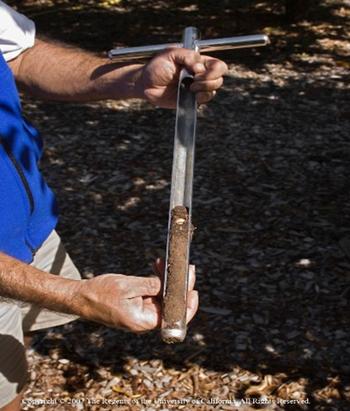 For a detailed analysis of your soil, send a soil sample to a laboratory. Photo: Chuck Ingels