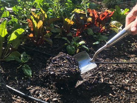 Garden soil can look healthy and still be lacking in nutrients essential for optimum plant growth