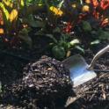 April 2024: The Importance of Soil Testing