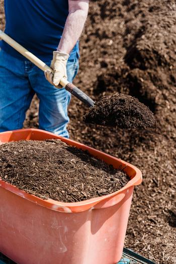 In addition to small amounts of nitrogen, phosphorus, and potassium, compost supplies micronutrients and organic matter to the soil. Photo: Pexels
