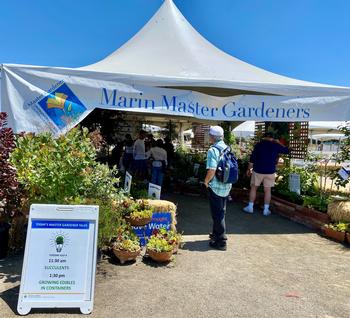 Visit the UC Marin Master Gardeners in the barnyard. Look for the big white tent. Photo: Peggy Chipkin