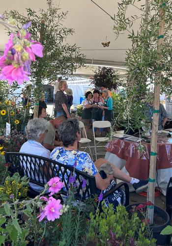 Grab a seat in the lush garden and learn from our UCMMG speakers. Photo: Marie Narlock