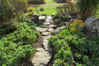 Walking on bare garden soil causes problems. To avoid this, designate clear walking paths. Photo: Pickpic