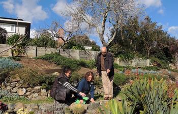 Sign up for a garden walk with the Marin Master Gardeners and get some tips on how to make your garden more water-efficient. Photo: Pam Polite Fisc