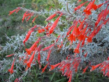 Photo: Creative Commons Ghislain 118