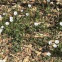 September 2024: Tackling the Weeds
