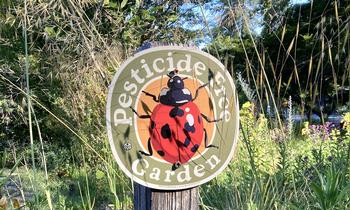 A pesticide-free garden encourages lots of wildlife.