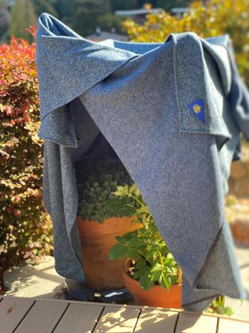 Covered plants. Photo: Jill Heiman Williams