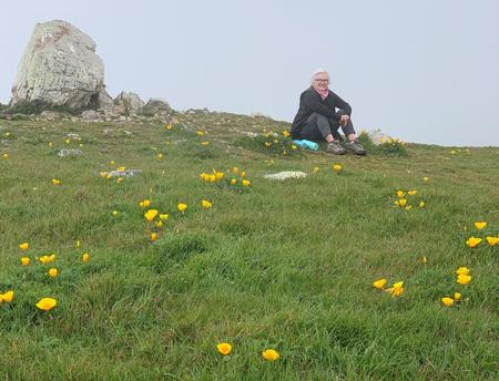 The author is in a field of coastal California poppies whose petals open wide before they drop. Photo: David Walker