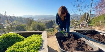 After moving irrigation tubing out of the way, the raised veggie bed is amended with a mix of peat moss or coconut coir, compost and vermiculite.