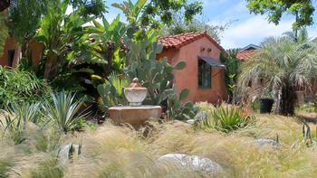 Mexican feathergrass, Nassella Tenuissima, while beautiful, can be invasive and displace native vegetation. Always use fire-safe landscaping practices