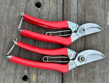 There are many choices in by-pass pruners with models that fit different hand sizes.
