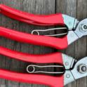 February 2025: Choosing the Right Garden Tools
